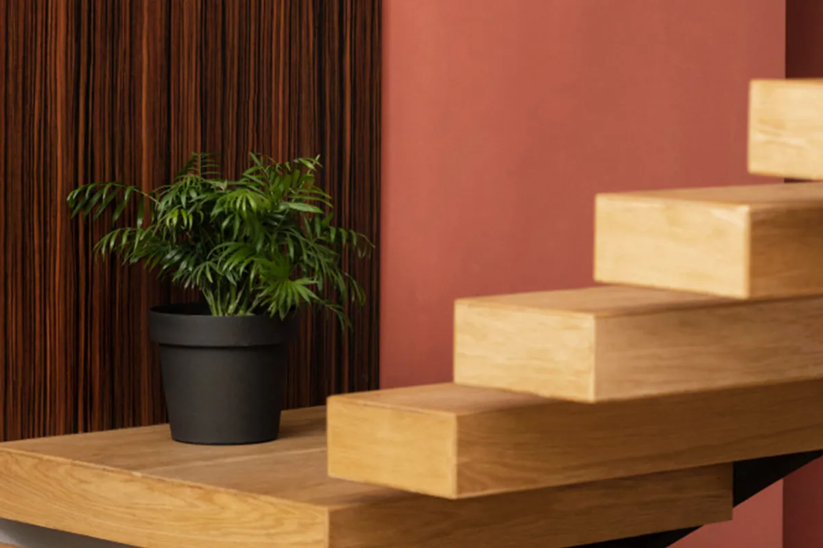 3D Visualization and Planning